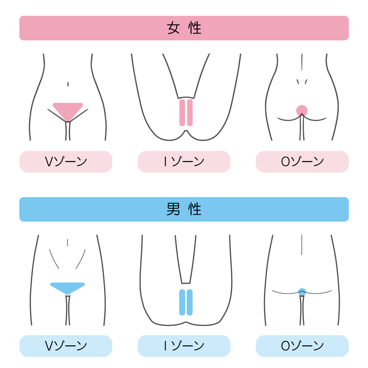 医療脱毛パーツメニュー
